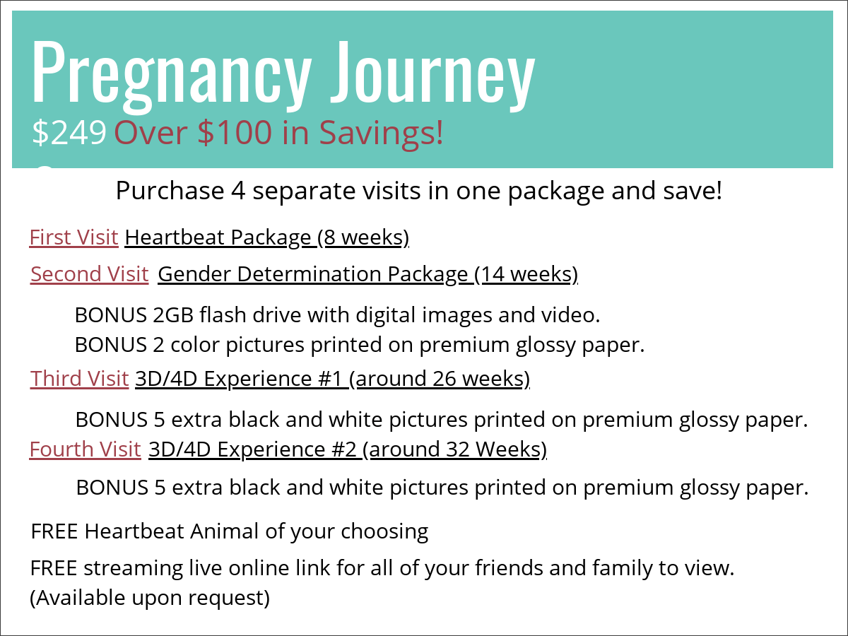 pregnancy journey essay